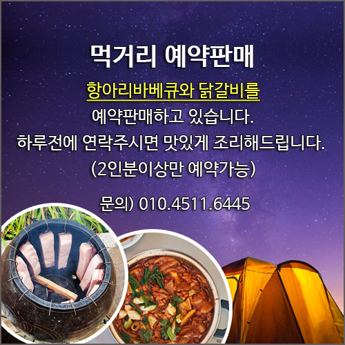 다음