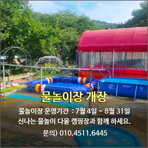 다음